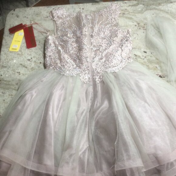 NWT May Queen MQ1681 Homecoming Dress Mauve Size 14 - Picture 5 of 7